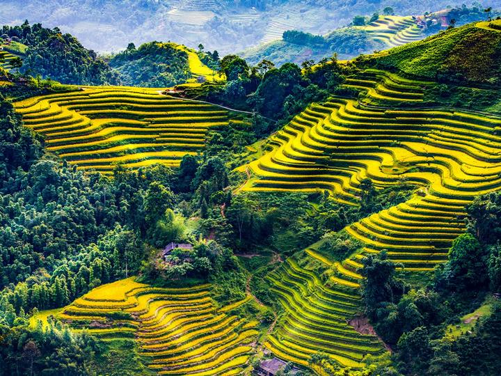 Hotspot Matrix: Biến Chiều cao trên 1,9 m: Lợi thế thành cơ hội marketing đột phá