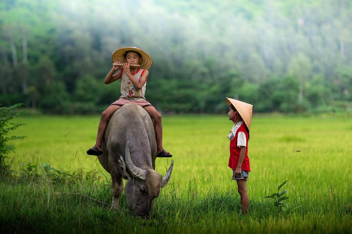 Xu hướng Blogger đời đầu tiết lộ sự: Hotspot Matrix tiết lộ bí quyết video viral