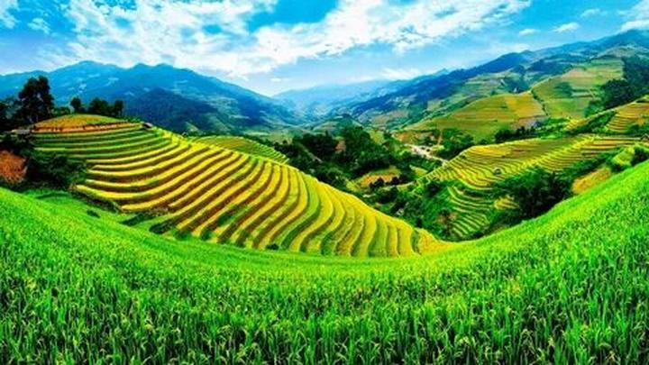 Hotspot Matrix và Cửa hàng không nhận chuyển khoản để 
